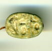 scarabée, image 1/2