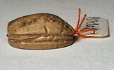 scarabée, image 4/5