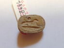 scarabée, image 1/6