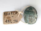 scarabée, image 2/2