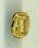 scarabée, image 1/3