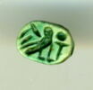 scarabée, image 1/2