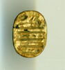 scarabée, image 1/2