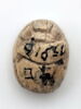 scarabée, image 2/2