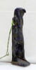 amulette, image 4/4