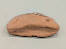 poids de filet, image 3/3