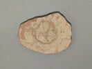 vase, image 1/2