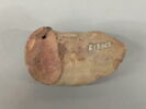 amphore, image 2/3