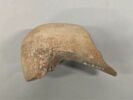 amphore, image 3/3