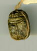 scarabée, image 2/2