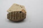 perle en demi olive, image 1/2