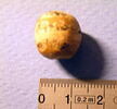 perle, image 2/2