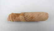 manche, image 1/2