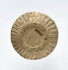 vase, image 4/4