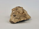 statuette, image 4/5