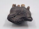 manche  ; tissu, image 4/13