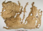 tissu ; linceul, image 1/2