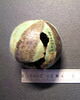 perle en melon, image 2/4