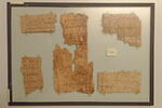 papyrus, image 1/2