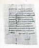 papyrus documentaire, image 1/2