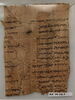 papyrus, image 1/2