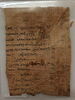 papyrus, image 2/2