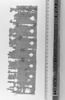papyrus, image 3/3