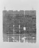 papyrus, image 1/4