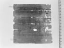 papyrus, image 4/4
