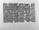 papyrus, image 1/2