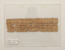 papyrus, image 2/2