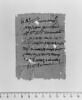 papyrus, image 1/2