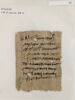 papyrus, image 2/2
