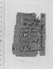 papyrus, image 2/2