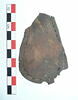 mule ; fragment, image 1/3