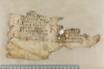 feuillet de codex ; fragment, image 2/5