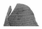 ostracon ; fragment, image 1/5
