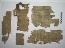 papyrus, image 1/6
