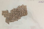 papyrus, image 6/8