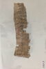 papyrus, image 8/8