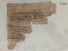 papyrus, image 3/4