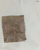 papyrus, image 4/11