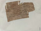 papyrus, image 6/11