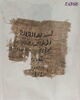 papyrus, image 9/11