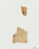 feuillet de codex ; fragment, image 4/14