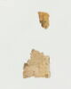 feuillet de codex ; fragment, image 7/14