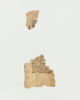 feuillet de codex ; fragment, image 8/14