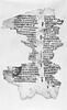 feuillet de codex ; fragment, image 2/3