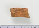 ostracon ; fragment, image 1/2