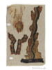 bande décorative d'habillement ; fragment, image 2/3